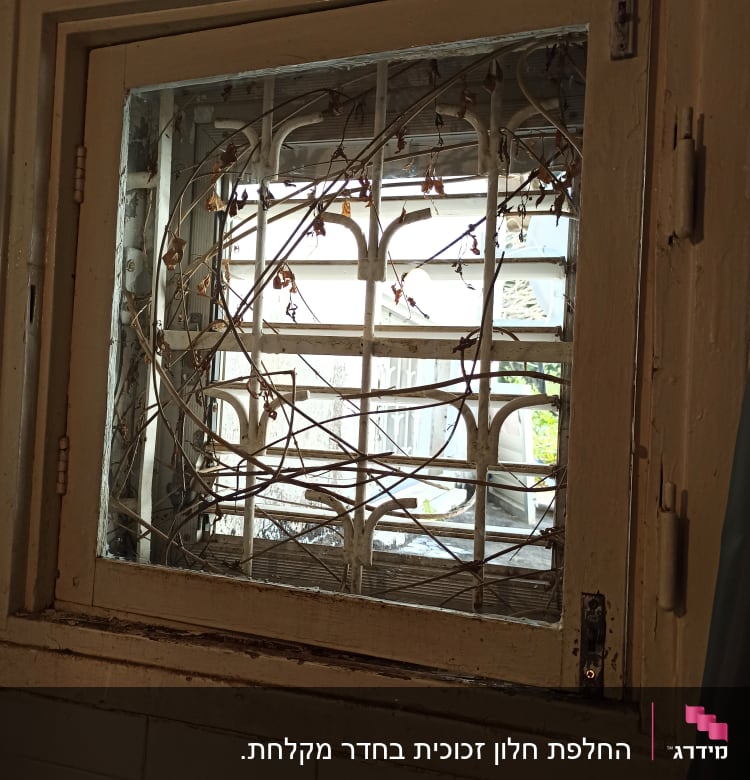 חלון עם סורגי מתכת וצמח מטפס יבש